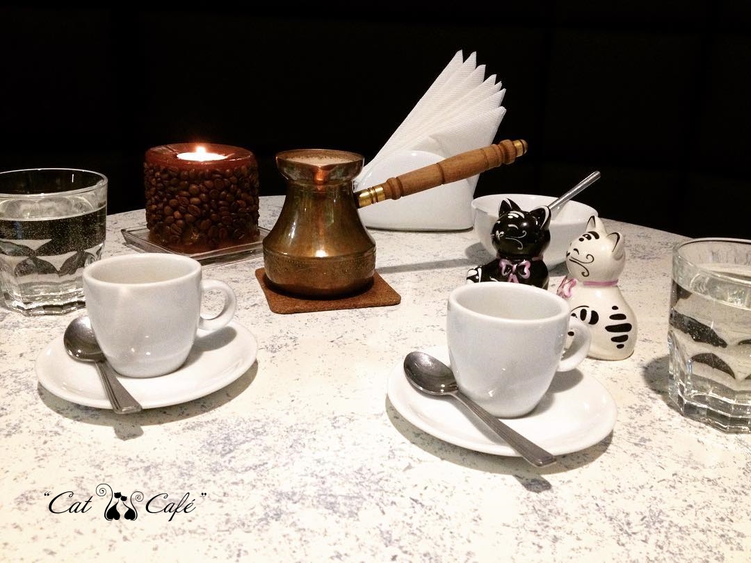 Кава у турці в Cat Cafe